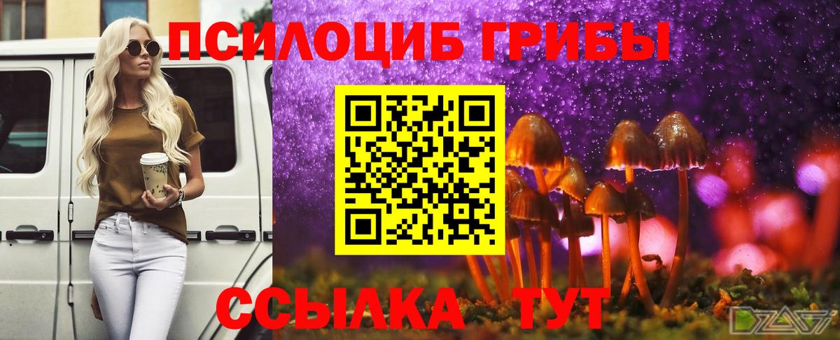 Рыбинск  Галлюциногенные грибы прущие грибы  Вход с VPN 